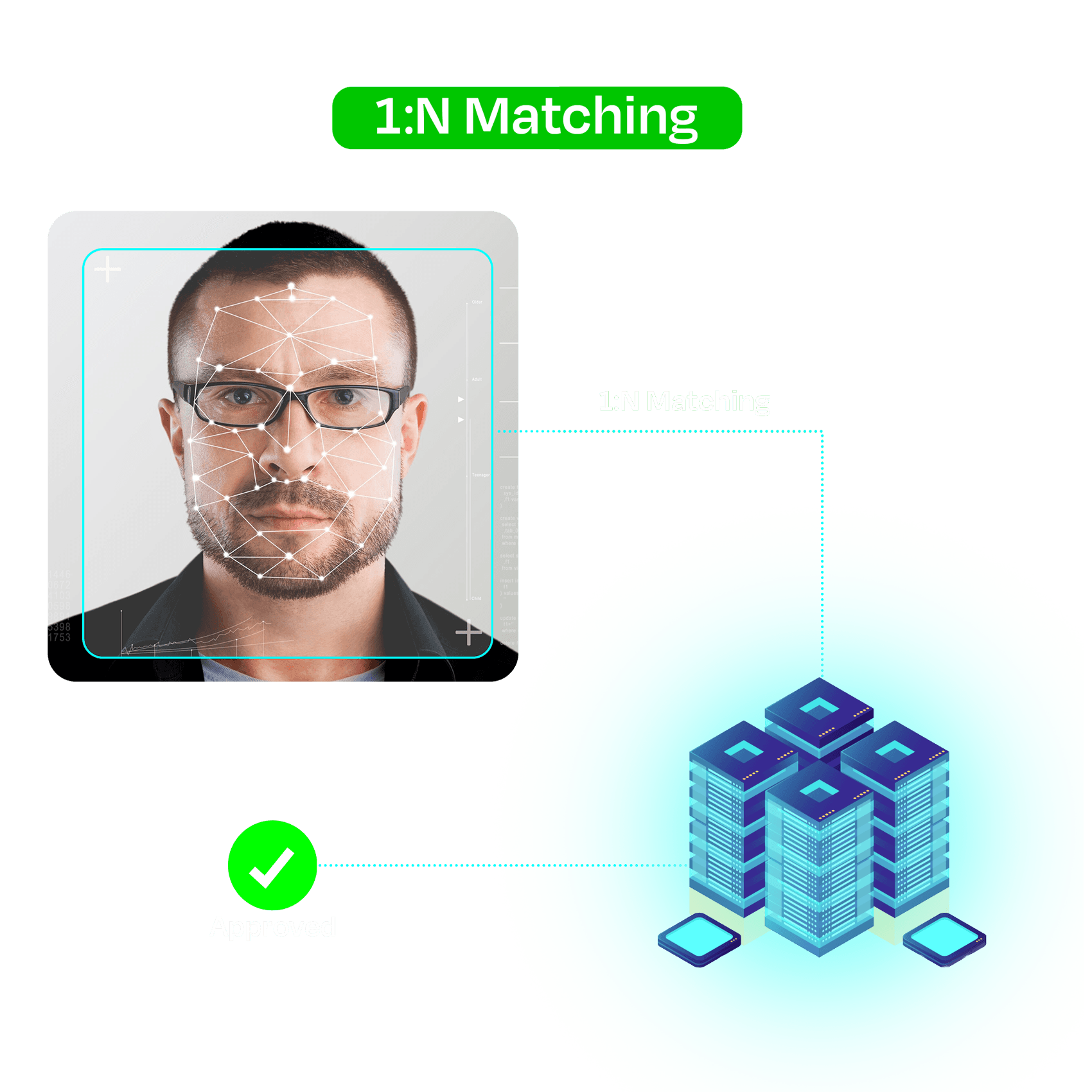 Fast Biometric Identification (1:N Matching)